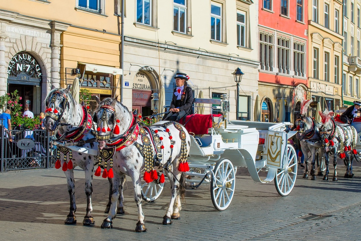 Horse carriage Krakow